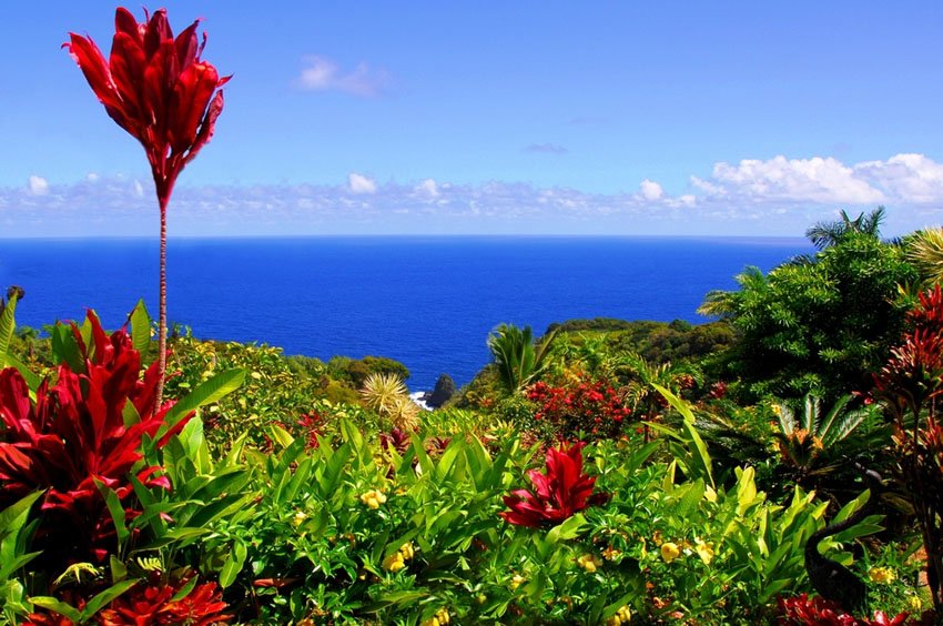 Maui Garden Of Eden