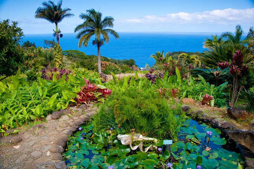 Garden Of Eden on Maui