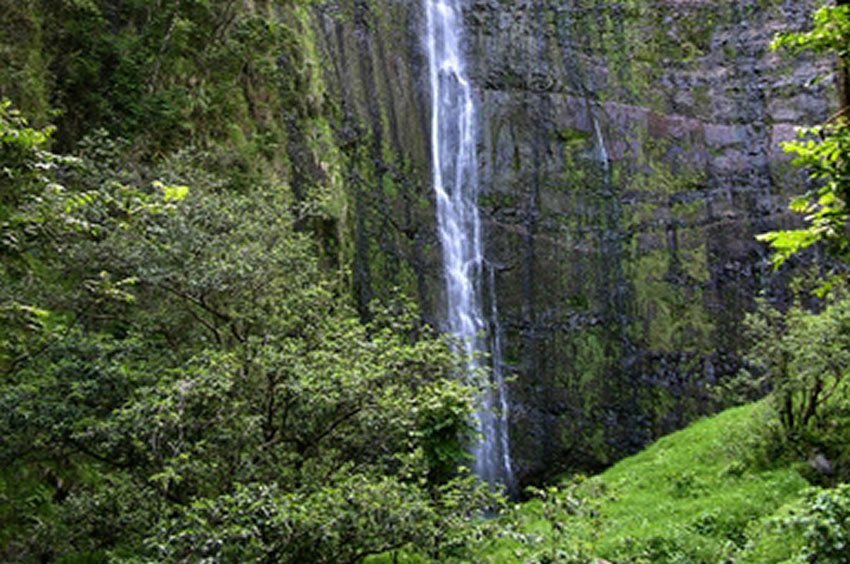 Waimoku Falls on Maui