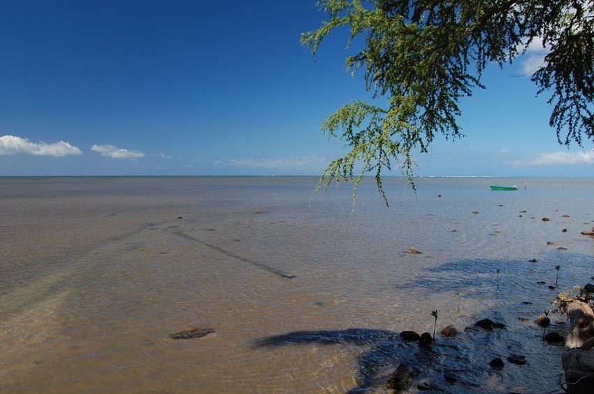 Shallow nearshore water on Molokai