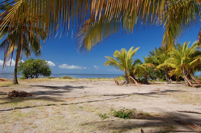 Tropical view on Molokai