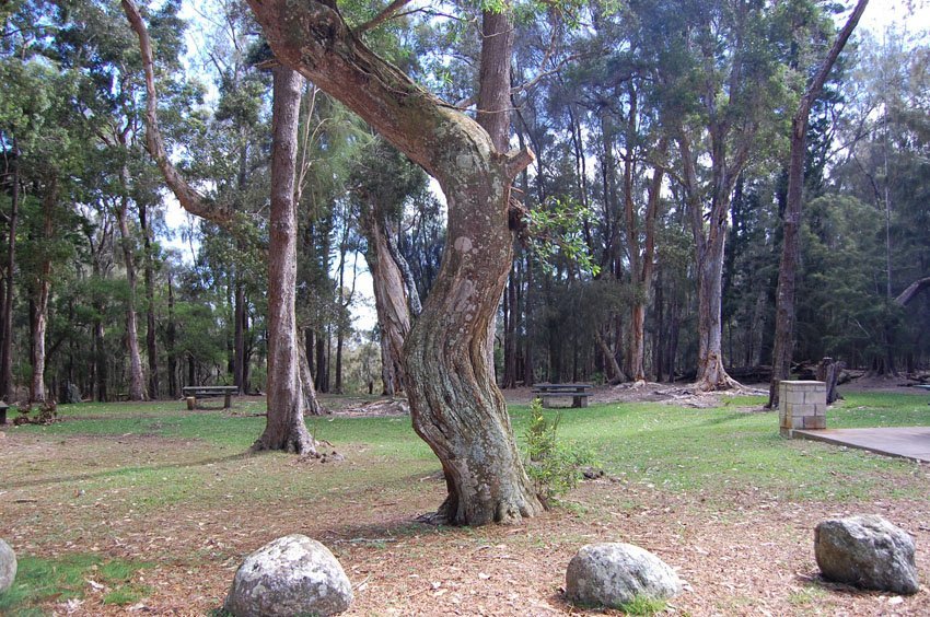 Pala'au State Park picnic area