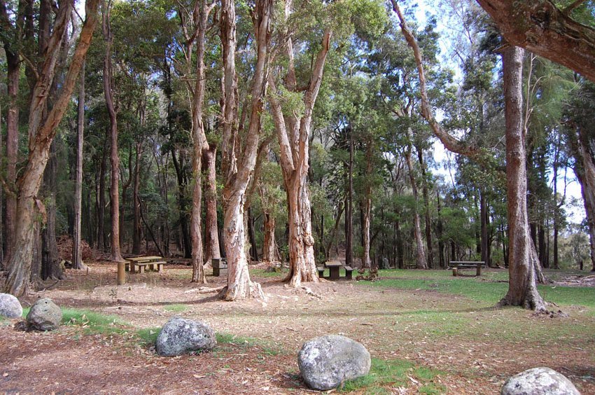 Small park for picnics