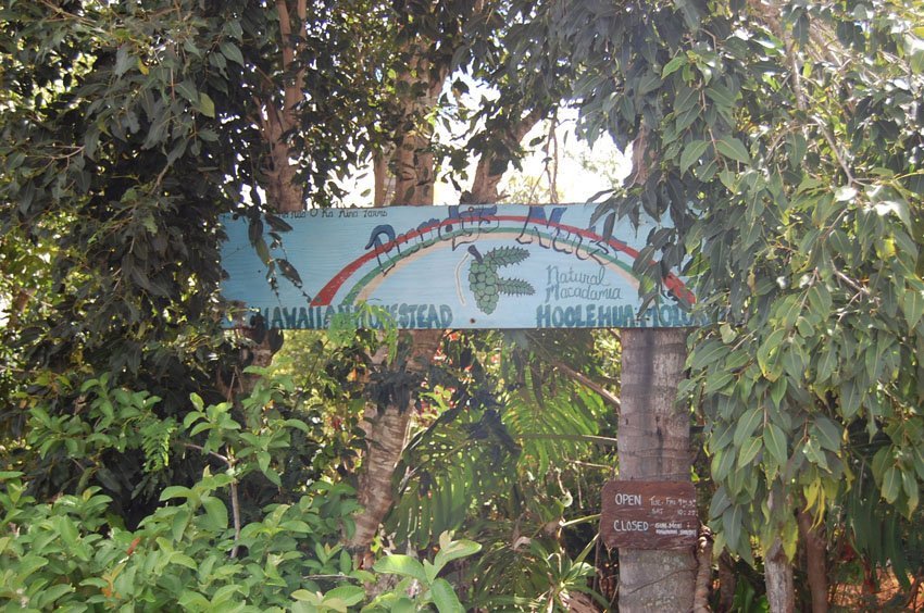 Farm sign at the entrance