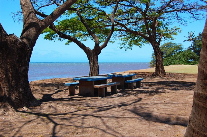 Kakahai'a Beach Park picnic tables
