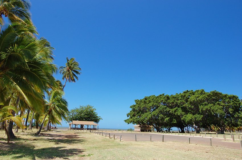 View to Kapuaiwa Coconut Grove