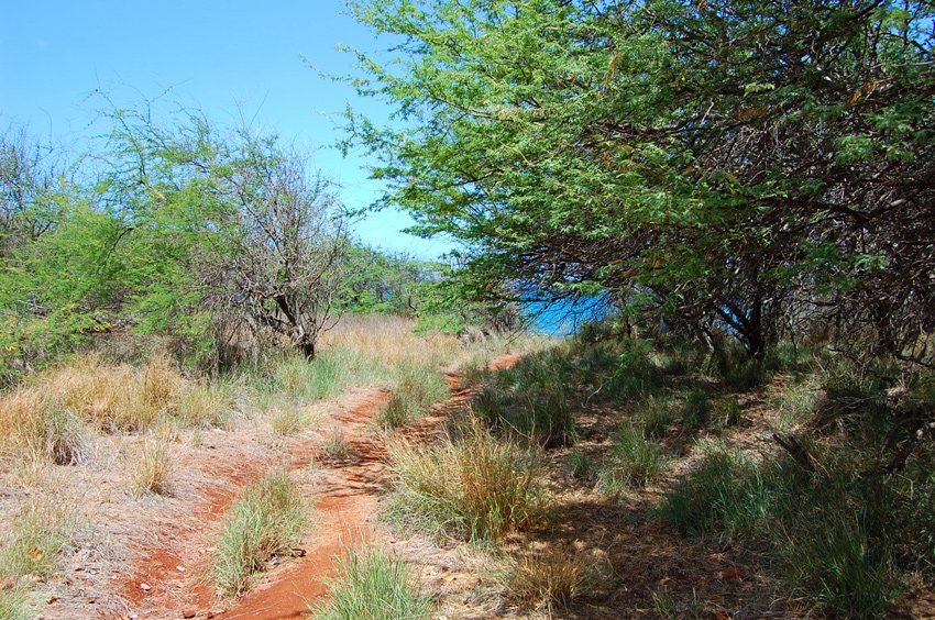 Paka'a Beach trail