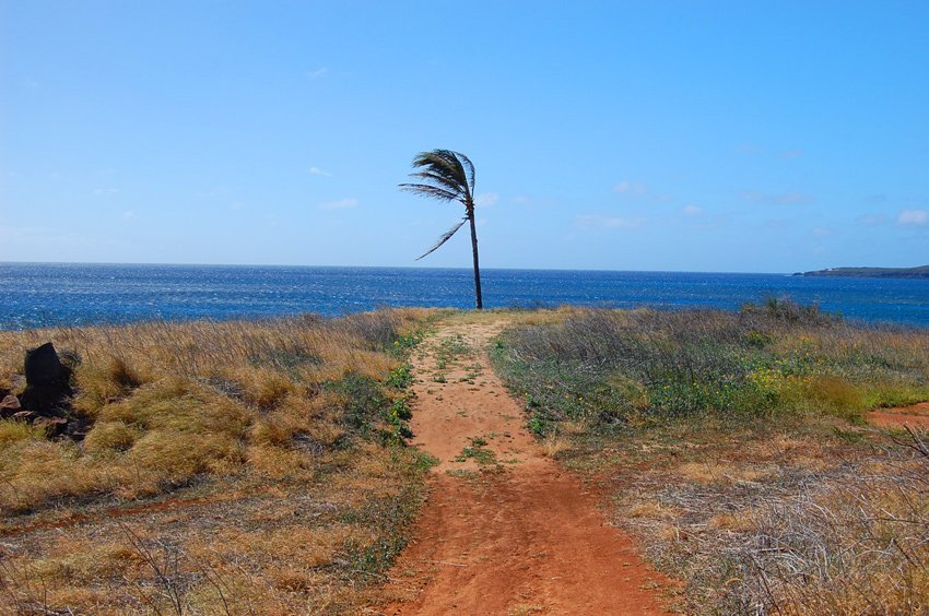 Dirt road leads to Pohakumauliuli Beach