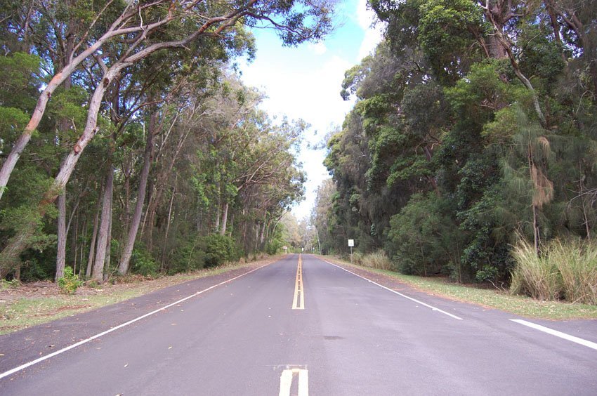 Road to Kalaupapa Peninsula Lookout