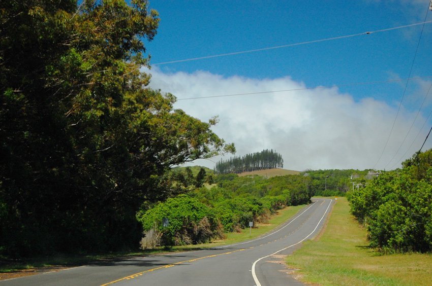 Scenic Molokai road