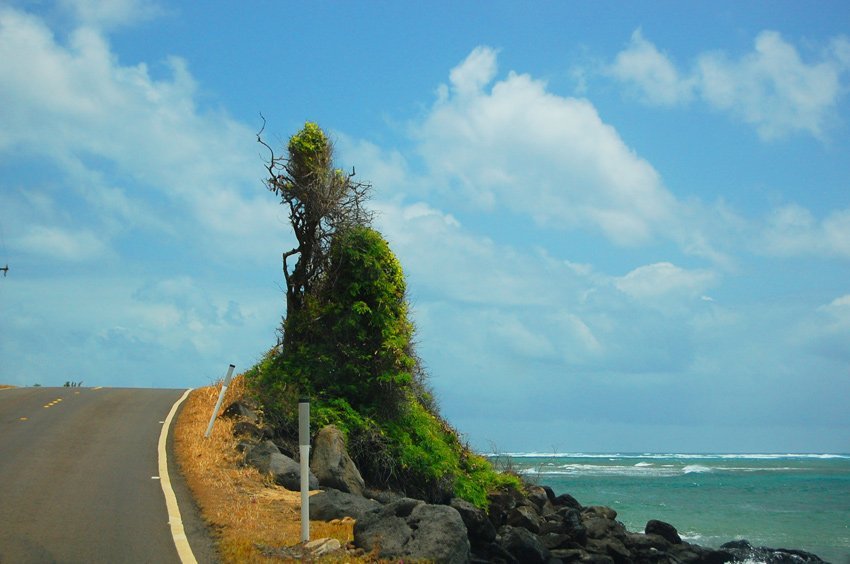 Scenic drive by the ocean