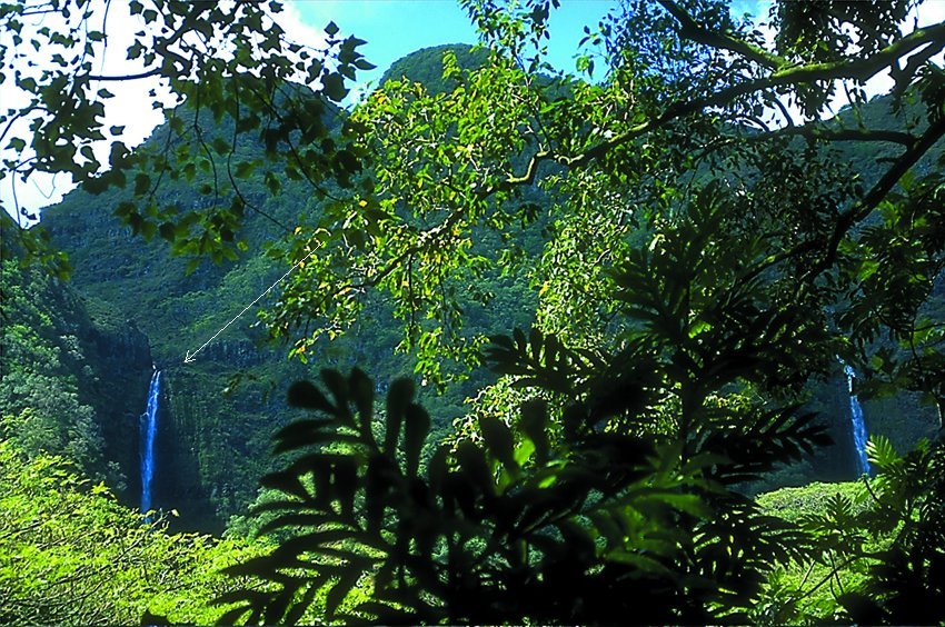 Moa'ula Falls on Molokai