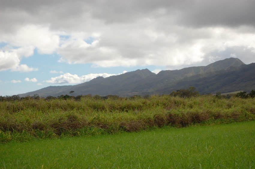Waianae Mountains
