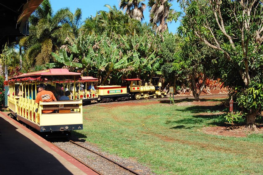 Pineapple Express train