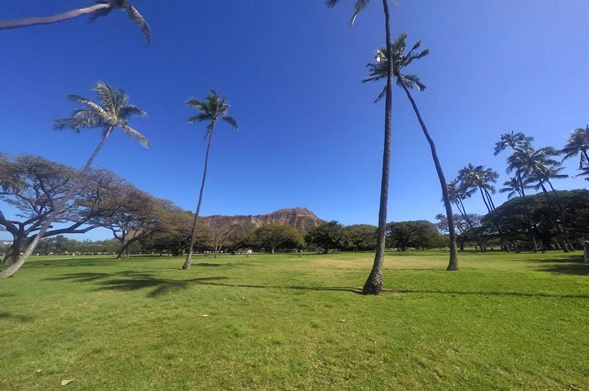 Large park in Waikiki