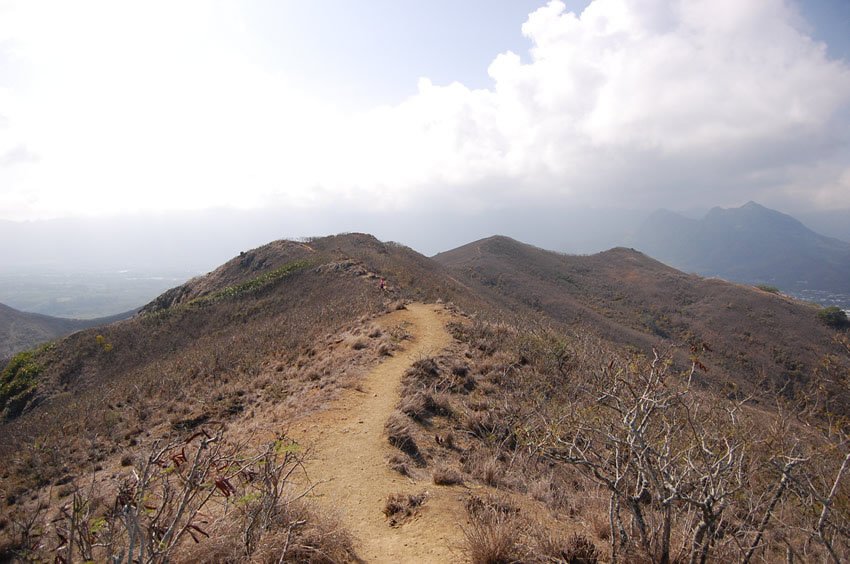Ridge trail