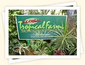 Tropical Farms