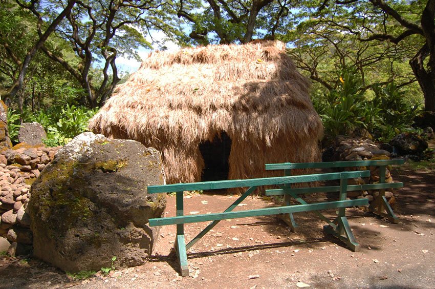 Ancient Hawaiian living site