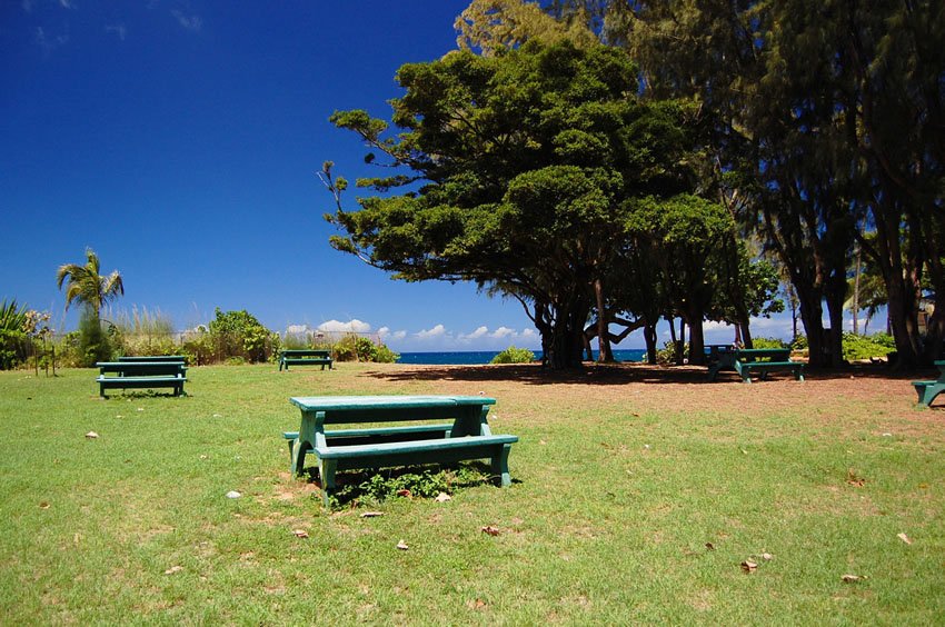 Picnic tables with ocean view