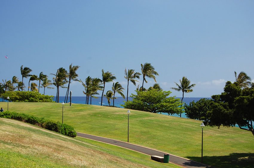 Beachfront park in Honolulu