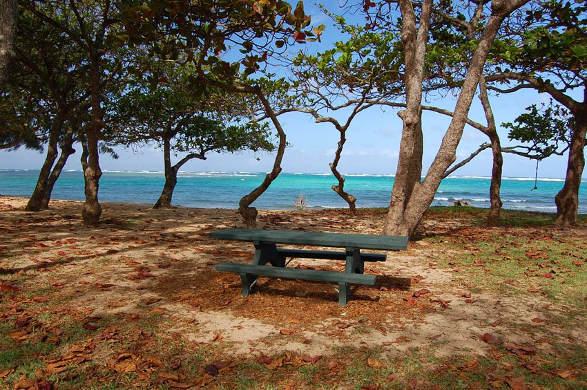 Oceanview picnic table