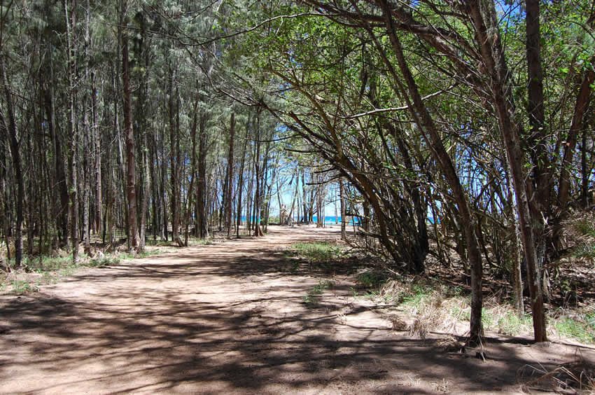 Trail to Kawela Bay