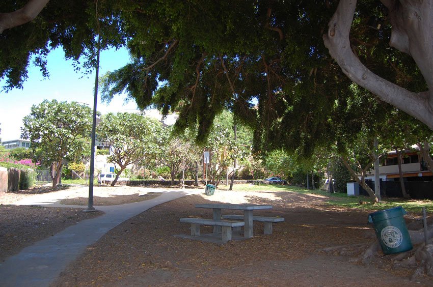 Park with good shade