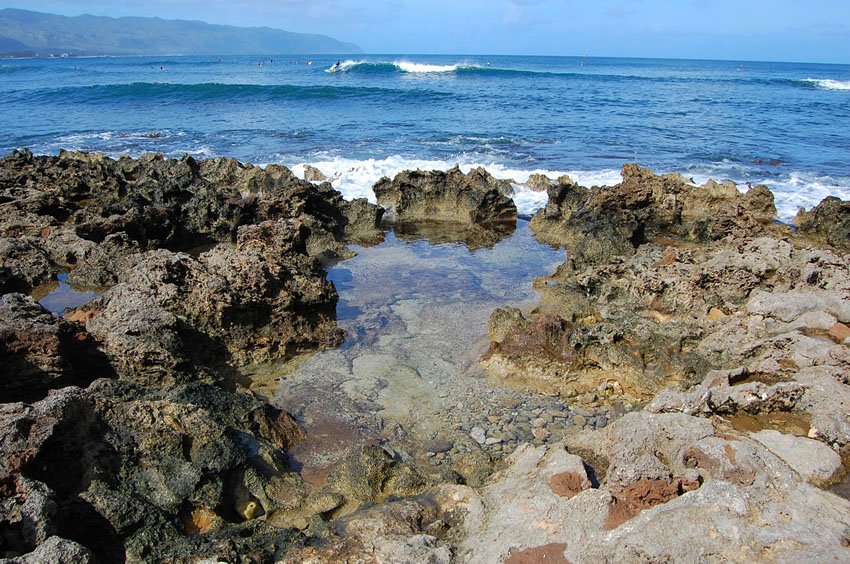 Lava rock tide pool