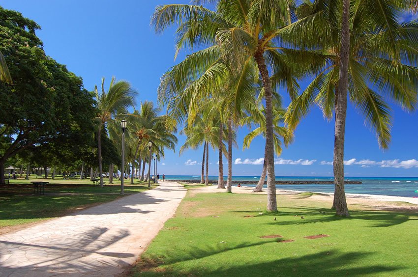Waikiki beach promenade