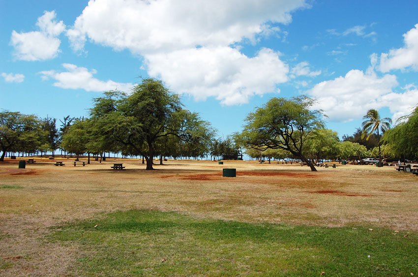 Large park area