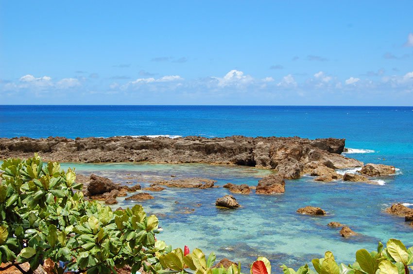 Popular diving destination on Oahu