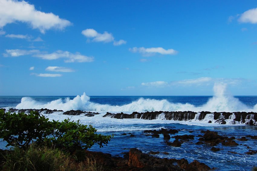 Oahu's north shore in the winter