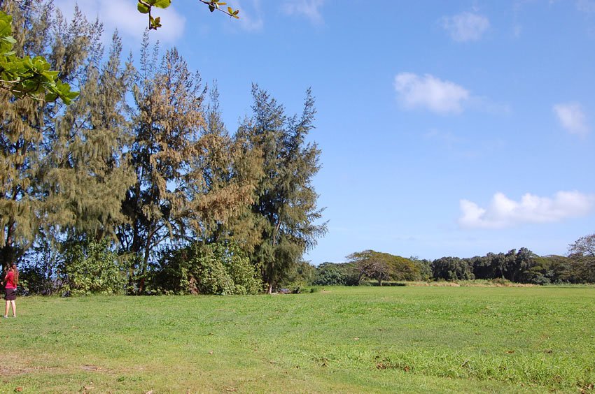 Southern area of Waiahole Park