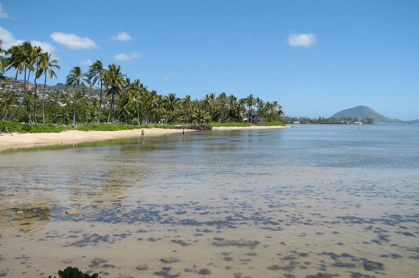 Kahala shoreline