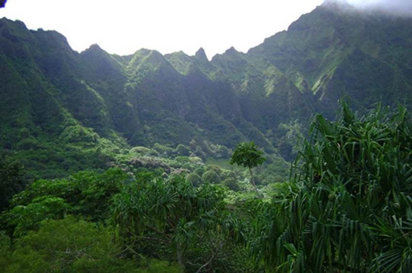 Ho Omaluhia Botanical Garden Oahu