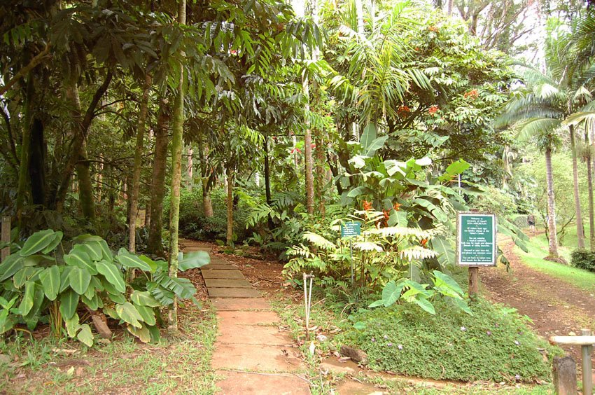 Main trail starting point