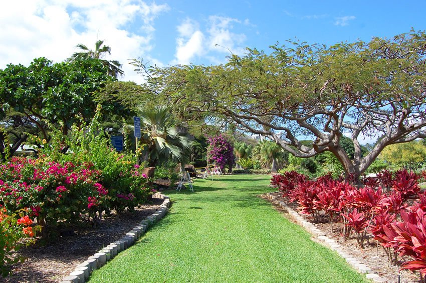 Queen Kapiolani Hibiscus And Rose Garden Oahu