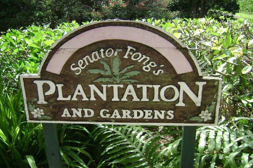 Senator Fong's Plantation & Gardens