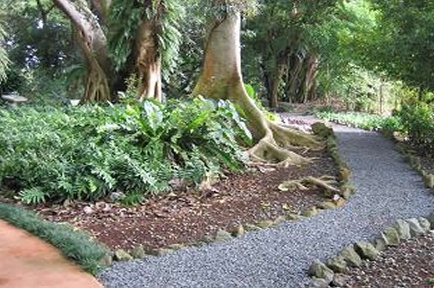 Wahiawa Botanical Garden