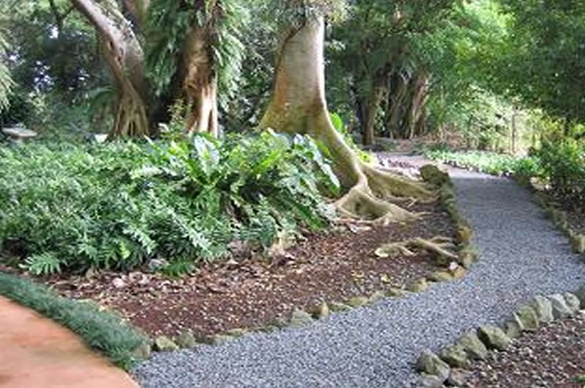 Wahiawa Botanical Garden Oahu