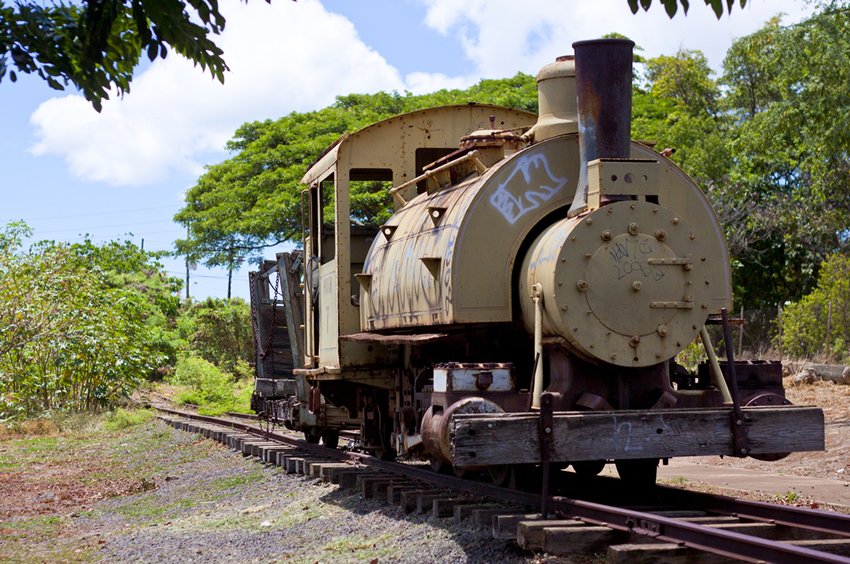 Old plantation train