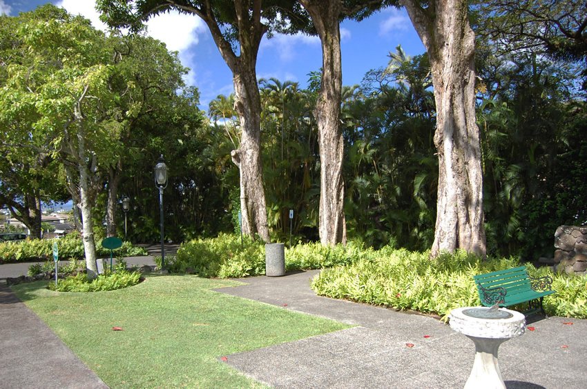 Tropical garden on Oahu