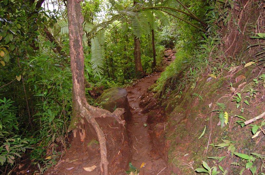 Narrow part of the trail