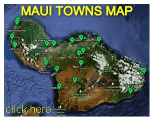 Maui Cities Map