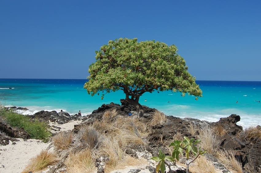 Big Island travel guide photograph