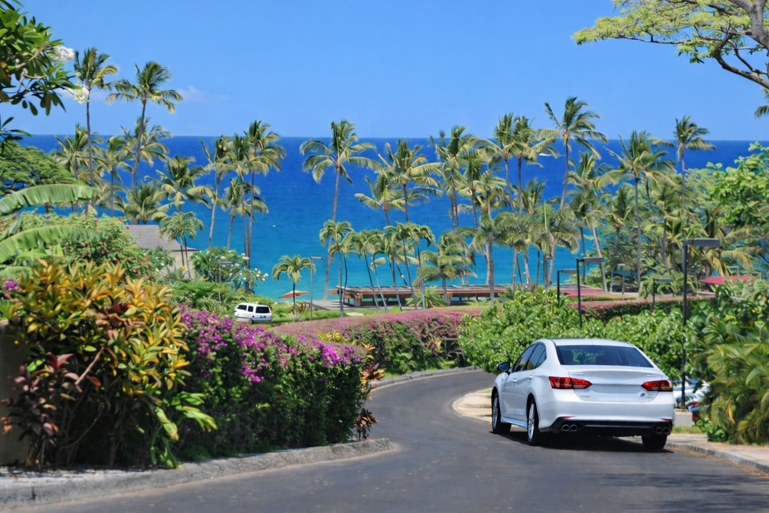 Hawaii coastal drive with palm trees and mountain views, from the current To-Hawaii.com homepage