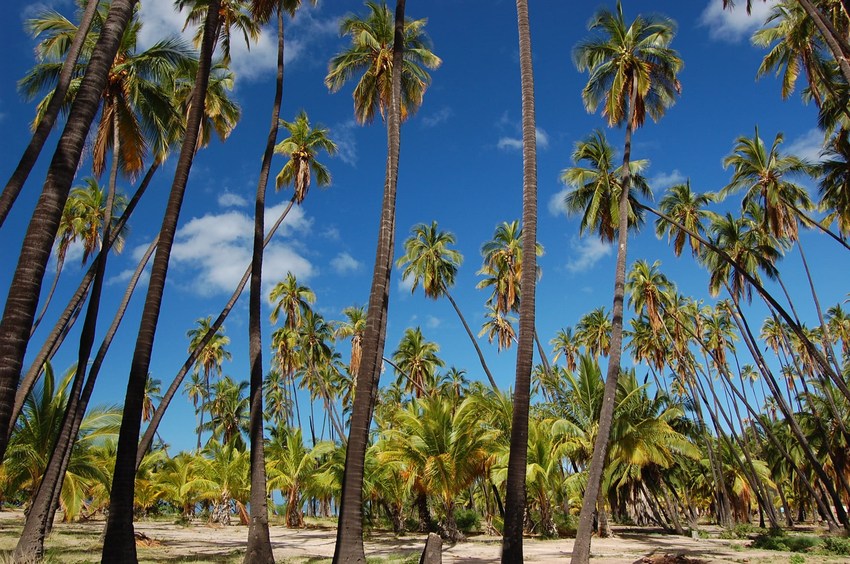 Molokai travel guide photograph