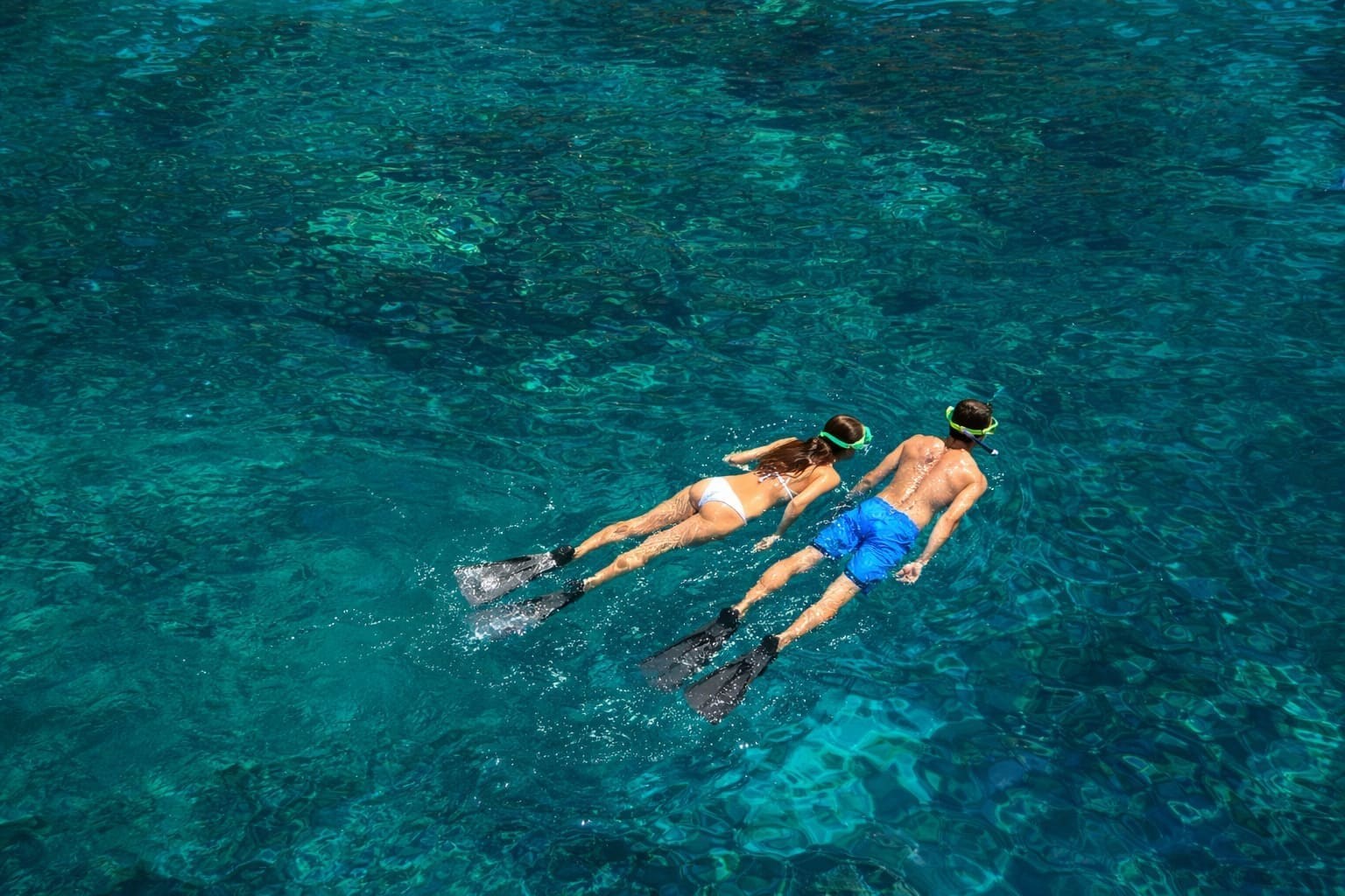 Snorkeling Cruises