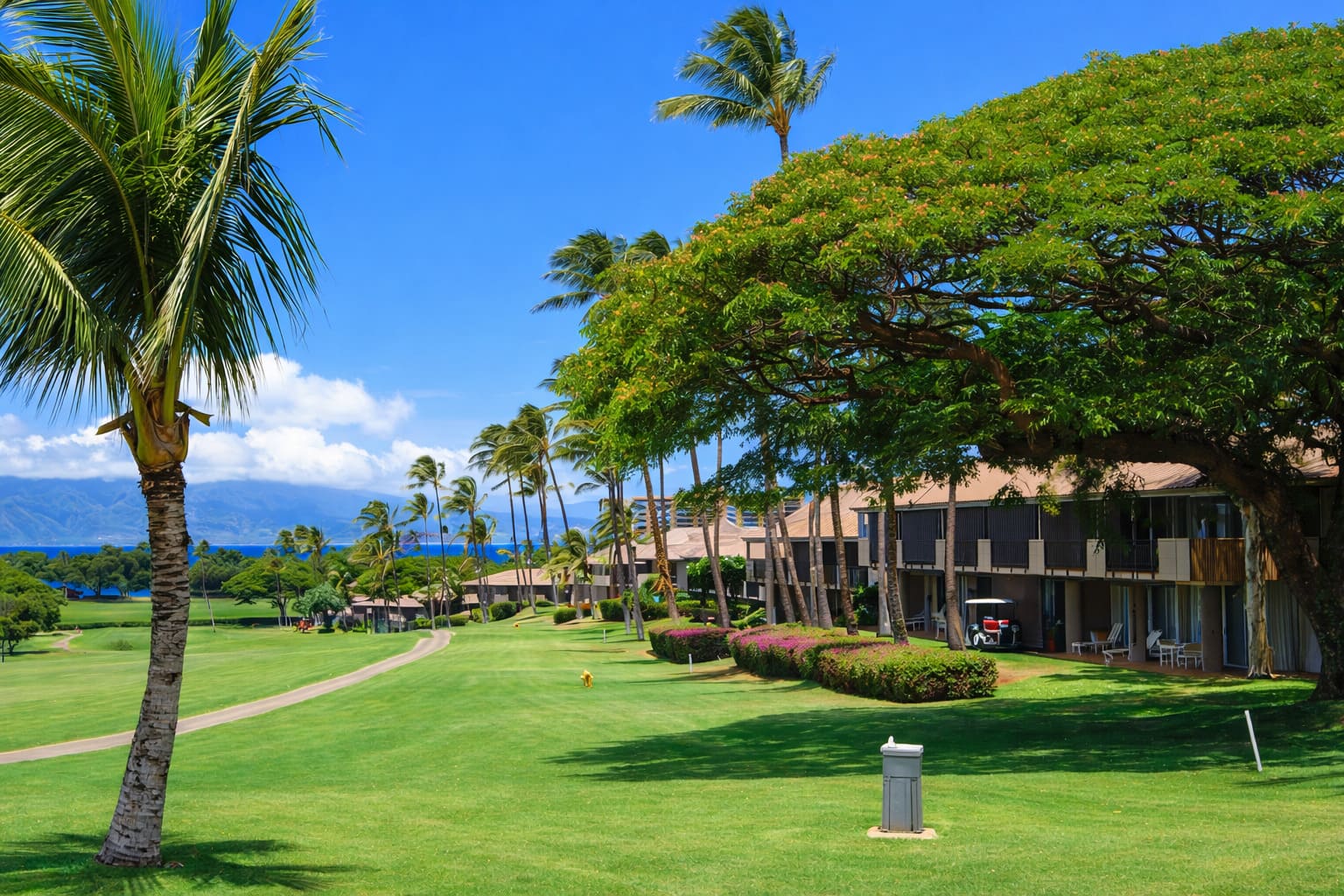 Best Maui Areas to Stay: Wailea, Kaanapali, Kihei and More