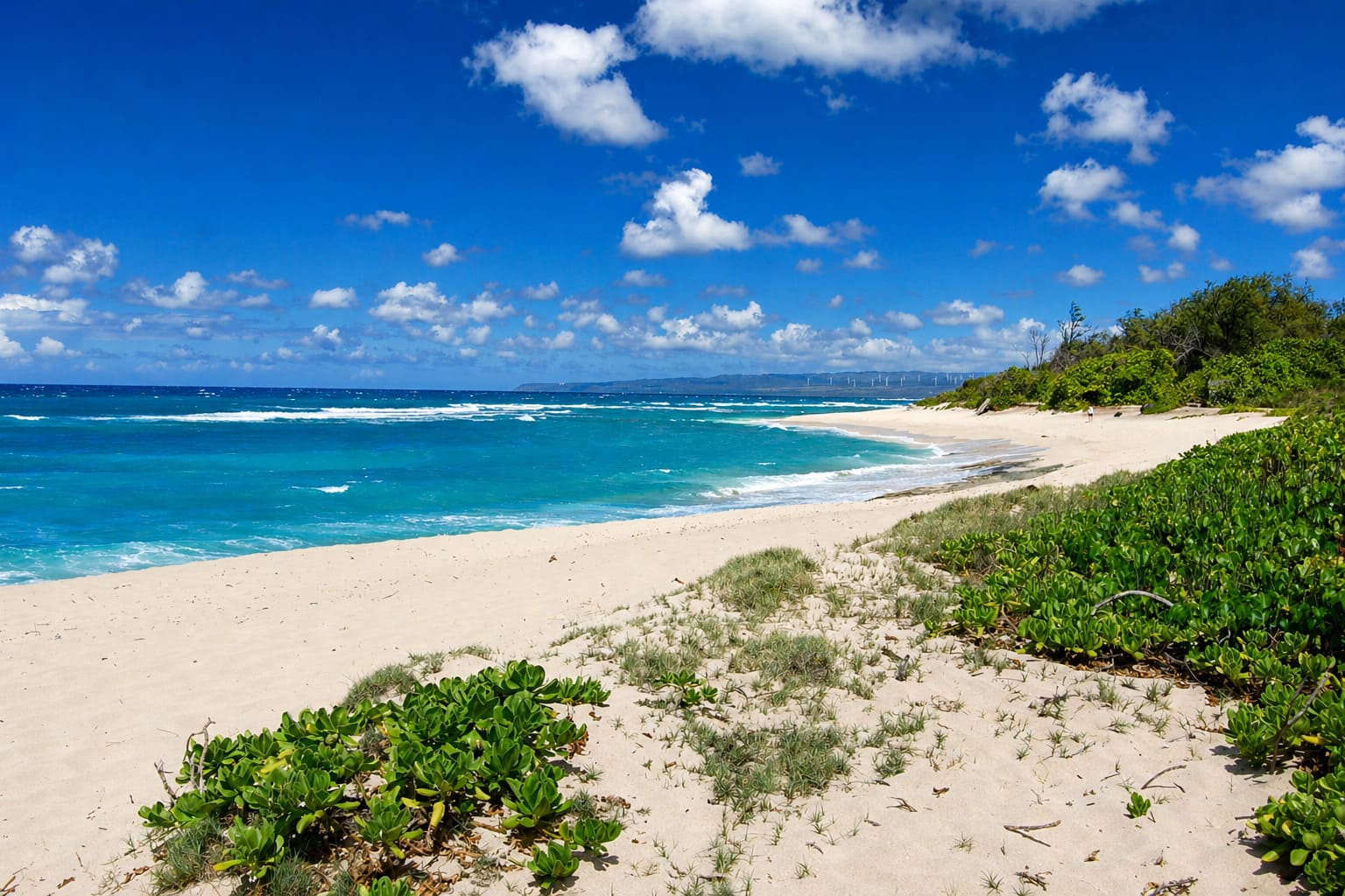 Camp Erdman Beach